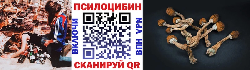 Псилоцибиновые грибы Psilocybe Спасск-Дальний
