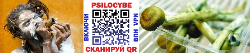 Галлюциногенные грибы Psilocybine cubensis  Купить закладки  Спасск-Дальний 